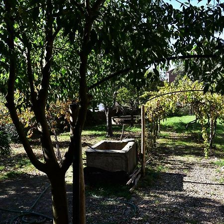 Casa Dona Amelia Villa Idanha-a-Nova Ngoại thất bức ảnh